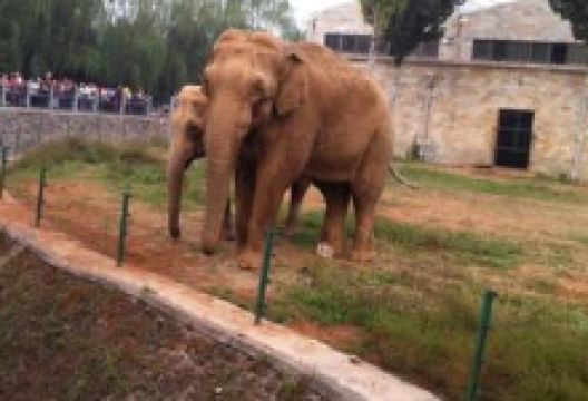 响水县动物园景点图片