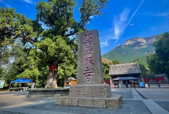 泰安岱庙+济南灵岩寺一日包车游泰安出发上门接送+时间可调【[行程灵活]合理范围内，行程可调】