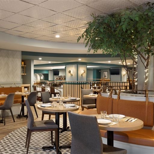 Alpine Social餐厅图片