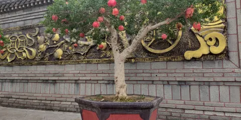 中華石榴博覽園