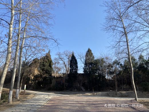 运城市园林局植物园