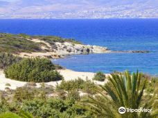 Cedar Forest of Alyko-纳克索斯