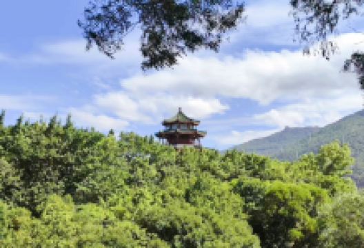 南山公园景点图片