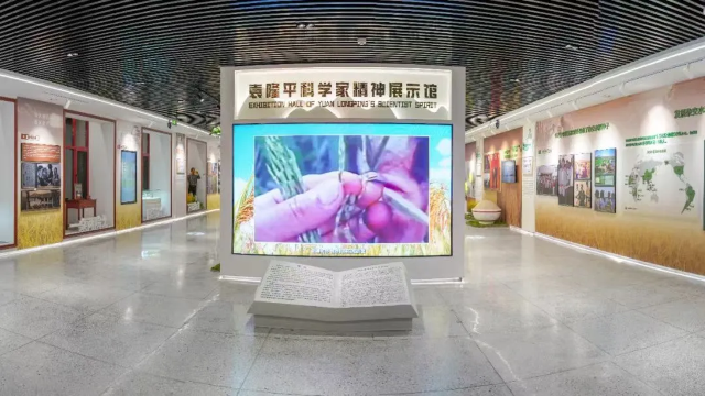 袁隆平博物馆