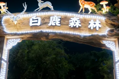 白鹿森林