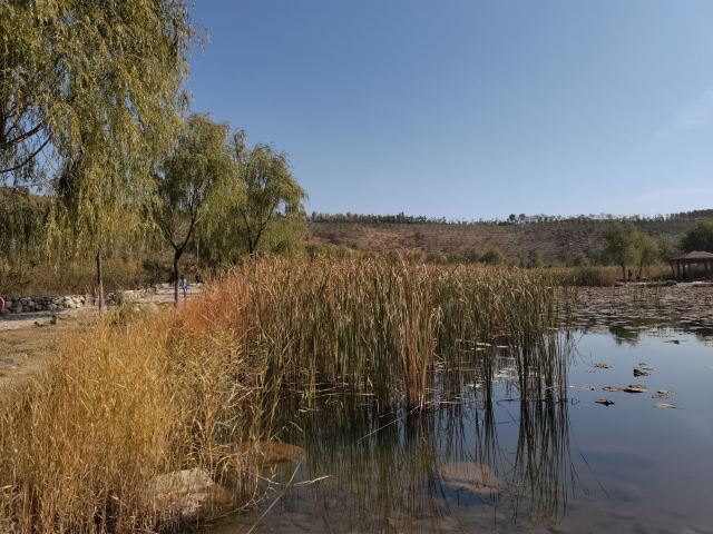 哈拉沁吉沙公园旅行图片 6