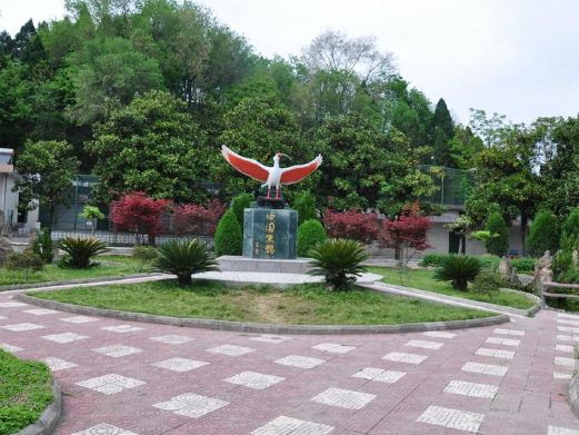 朱鹮生态园