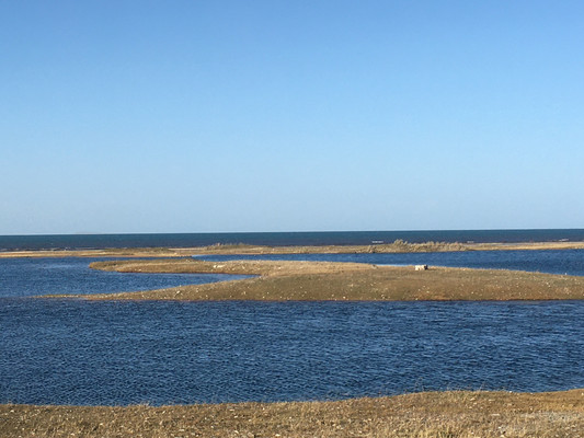 重庆至大西北自驾游环线