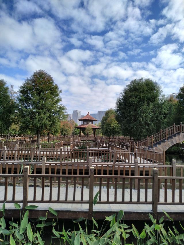 五缘湾湿地公园旅行图片 2