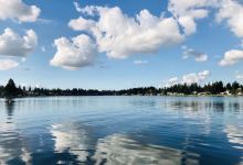 Pygoya's Rain Forest Gardens景点图片