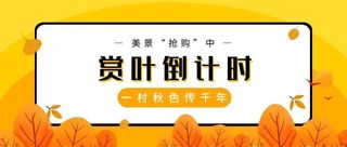 云南美景“抢购”中,腾冲一村秋色传千年,赏叶进入倒计时