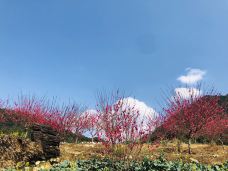 石门国家森林公园-广州-M32****6618