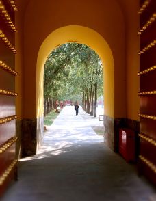 斋宫-北京-胭脂2021