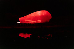 井冈山市游记图片] 传承红色记忆，观看实景演出《井冈山》