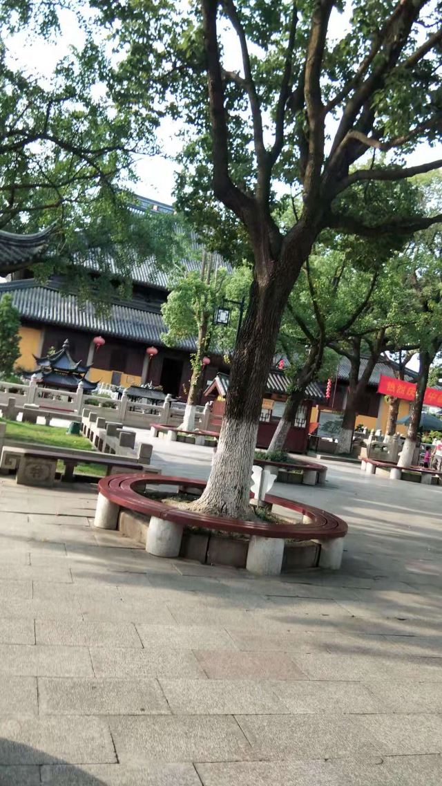 玄妙观旅行图片 3