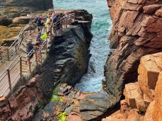 阿科底亚国家公园-沙山-蛙儿子