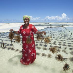 Zanzibar City