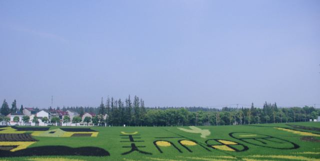 合庆郊野公园旅行图片 1