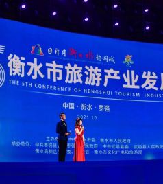 枣强游记图文-第五届衡水市旅游产业发展大会开幕