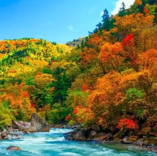 推窗见雪、坐看彩林！这个秋天，净土阿坝带给你诗意的休憩！