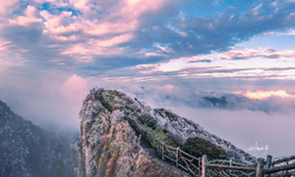 宜章游记图文-今年莽山五指峰首次雾凇