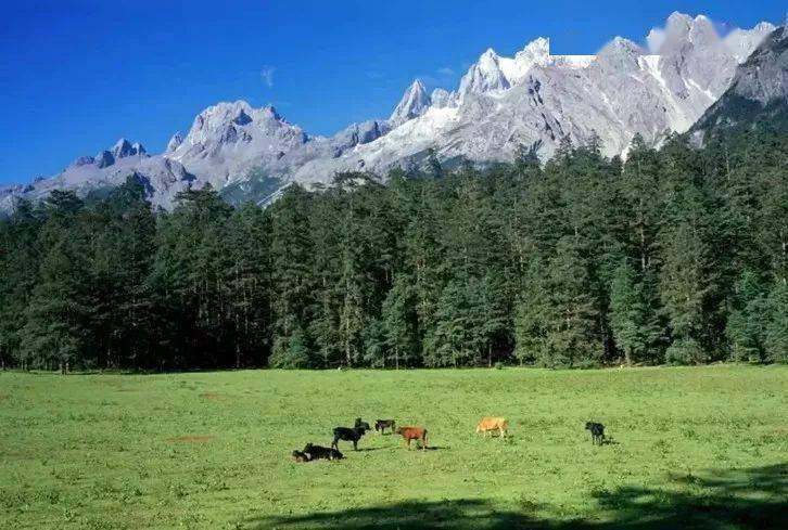 昆明旅游网