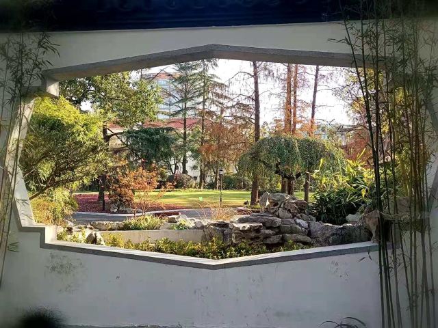 东安公园旅行图片 2