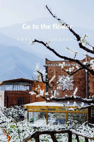 走！去阿坝州的寨子里，寻找春天！