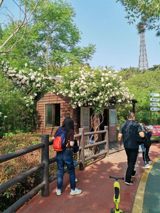 北固山森林公园旅行图片 1