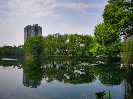 滨湖公园