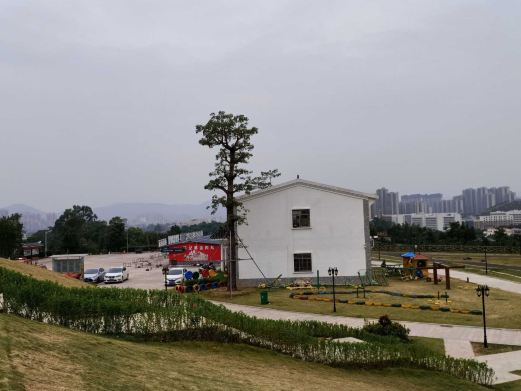 梧桐山公园