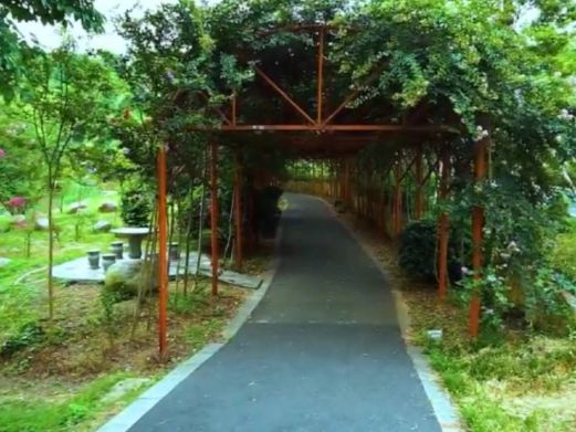 郴州市南岭植物园