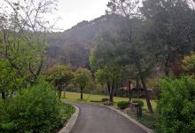 南山生态区景点图片