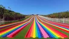 丰乐谷景区-永丰-沁沁布偶猫