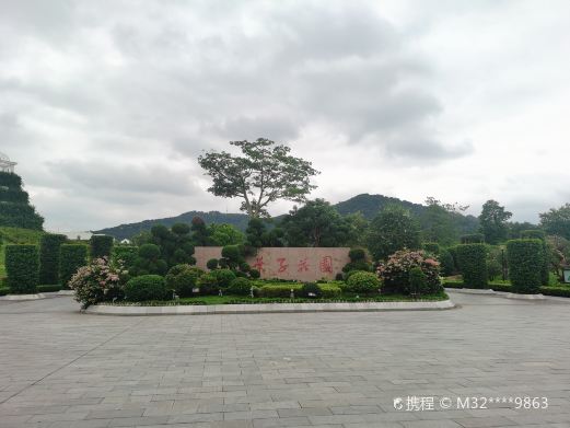 叶子花园
