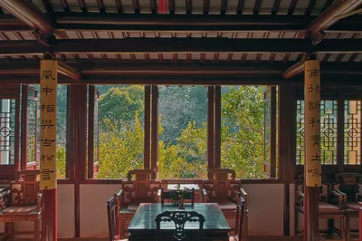 苏州品茶