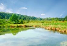 Bald Eagle State Park景点图片
