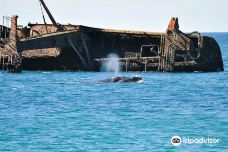 Playa Parana-别德马