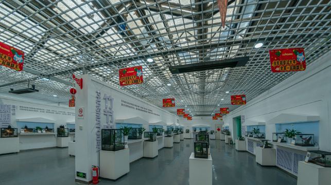 新疆活体昆虫博物馆