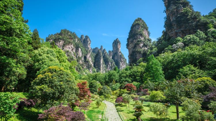 4-day 3-night · Group Tours · Zhangjiajie + Tianmen Mountain National Forest Park + Fenghuang Ancient Town·  