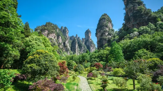 老磨灣大氧吧廣場