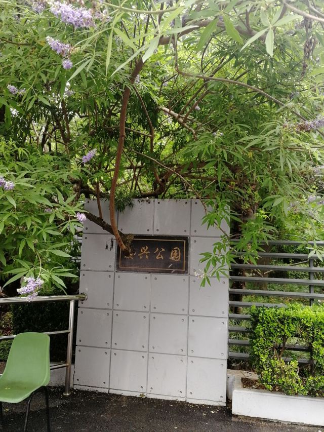 上海复兴公园攻略,上海复兴公园门票/游玩攻略/地址/图片/门票价格