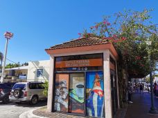 小哈瓦那-迈阿密-coolfox8