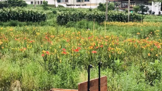 華堂古村