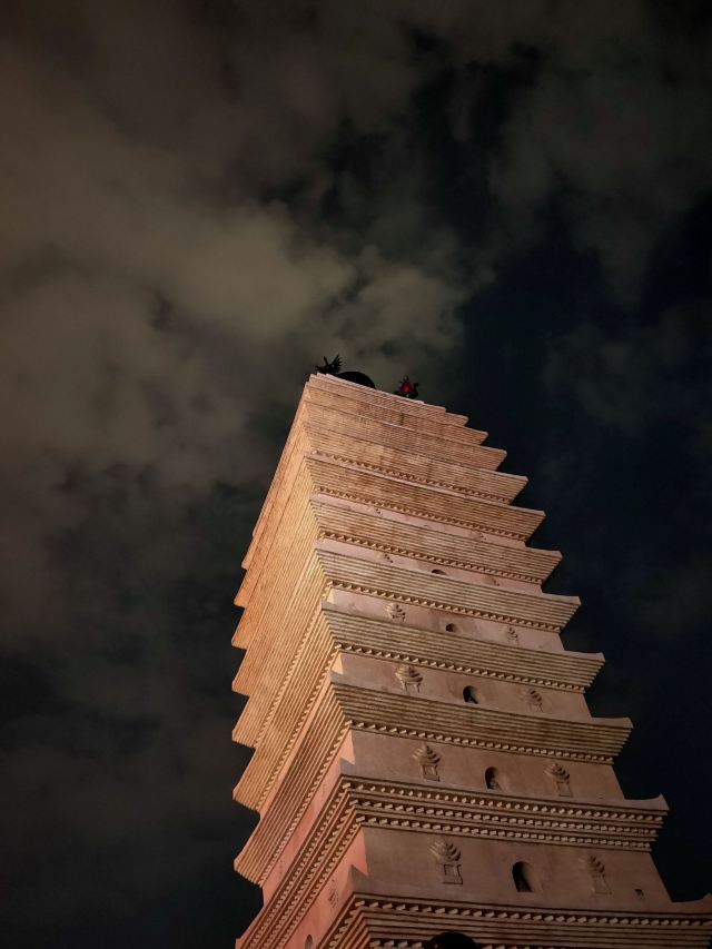 东寺塔茶花园旅行图片 2