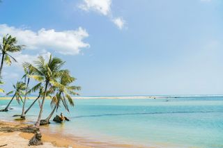 三亚丨在这个寒冷的冬天,去追寻北纬18度的夏天