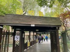 和平公园-上海-猪猪汤圆在路上