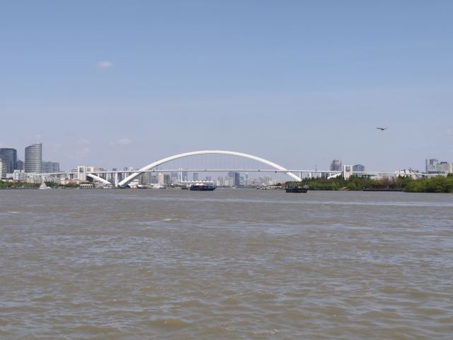 上海市滨江滑板公园旅行图片 2
