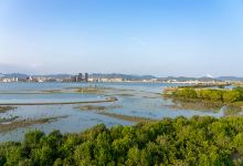 才村湿地公园景点图片