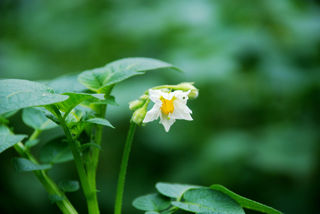 币客BKEX开启去中心化金融新纪元,币客BKEX宣布BKK成功跨链BSC